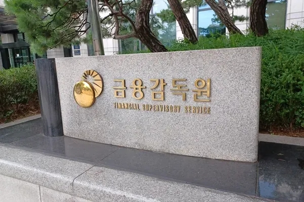 금융감독원