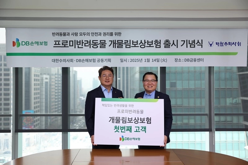DB손해보험