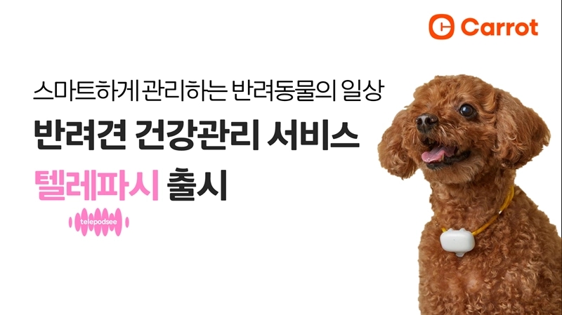 캐롯