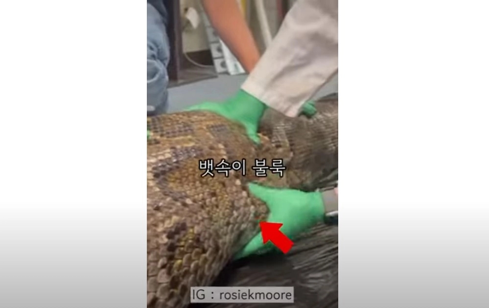/ 썸네일