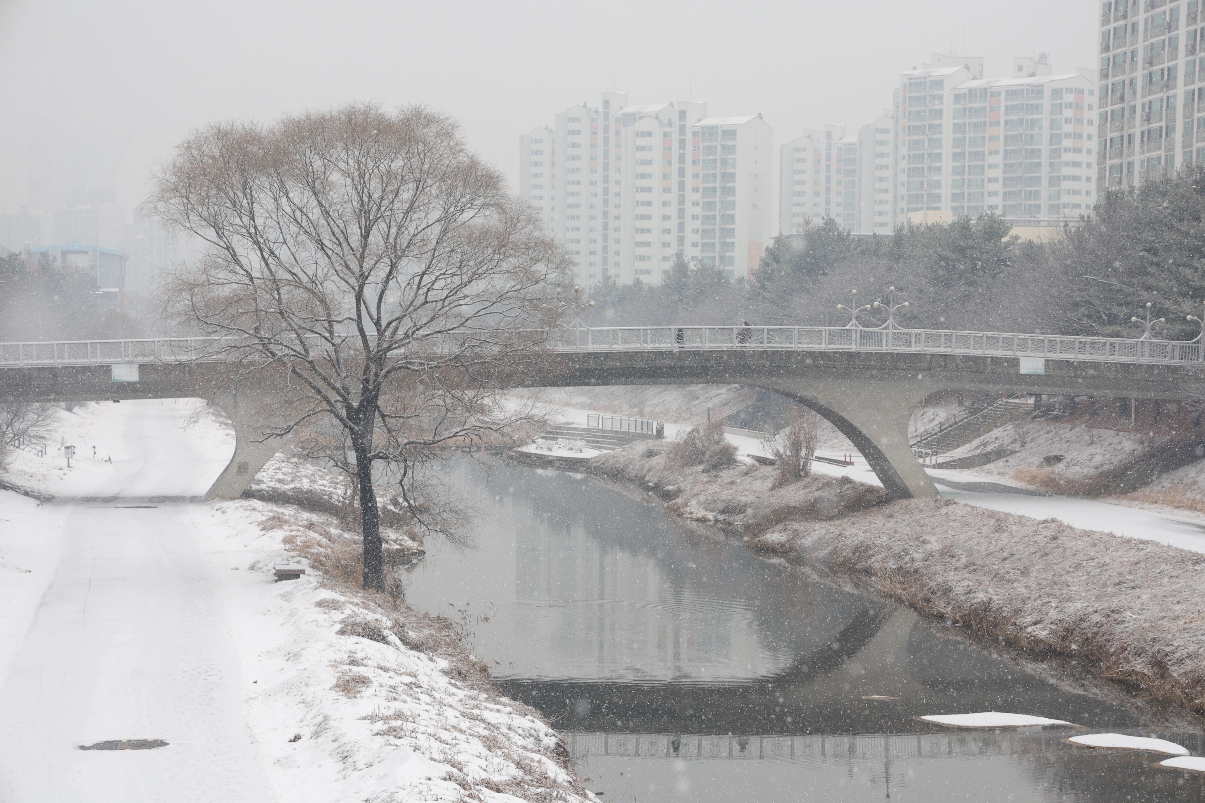 대설