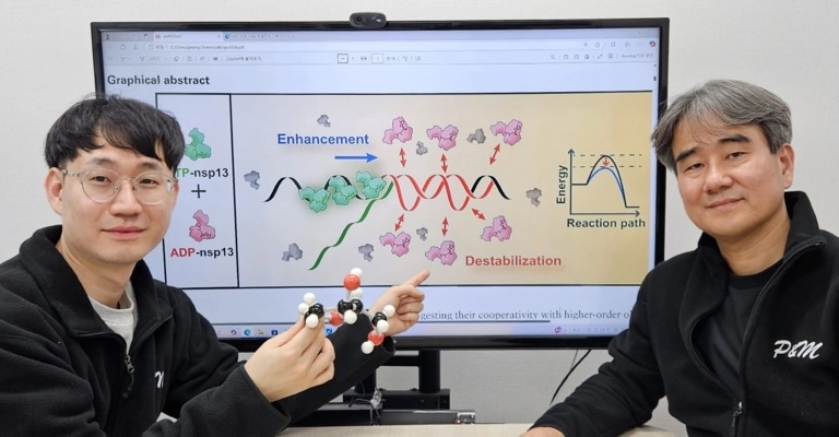 KAIST 생명과학과 이광록 교수(오른쪽)와 유정민 박사가 nspl3 단백질이 꼬인 구조를 풀어내는 방식에 대해 설명하고 있다. / KAIST