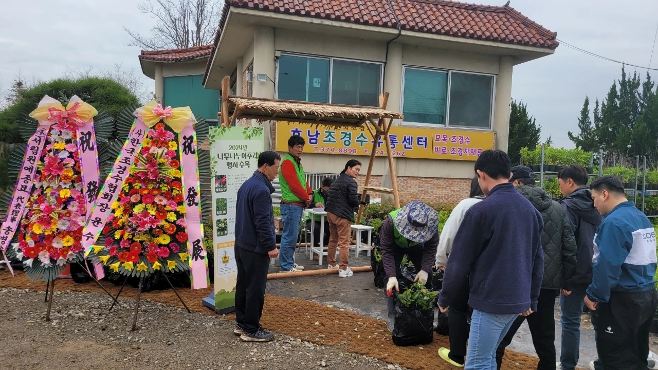 나무무료나눔