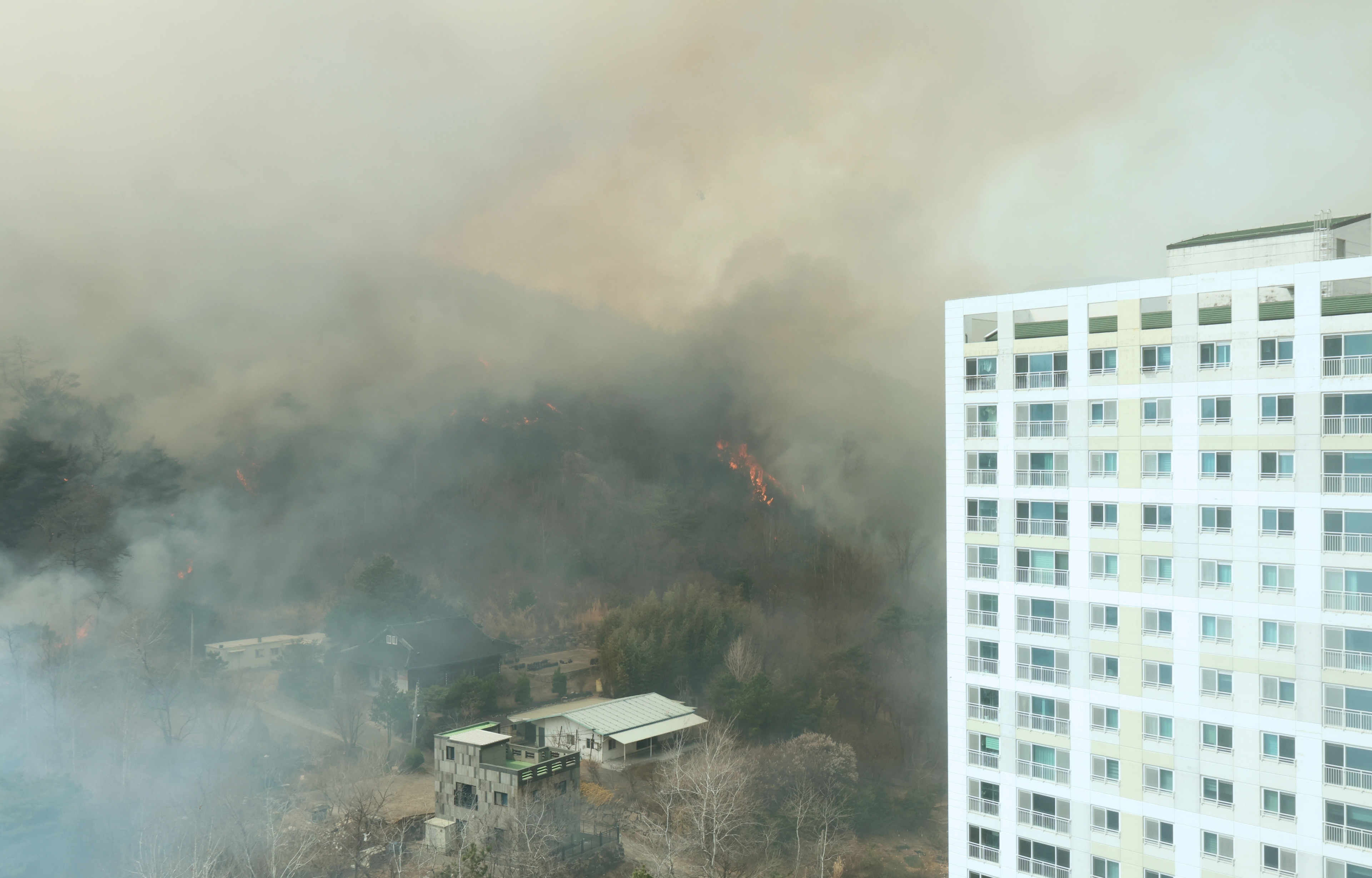 산불