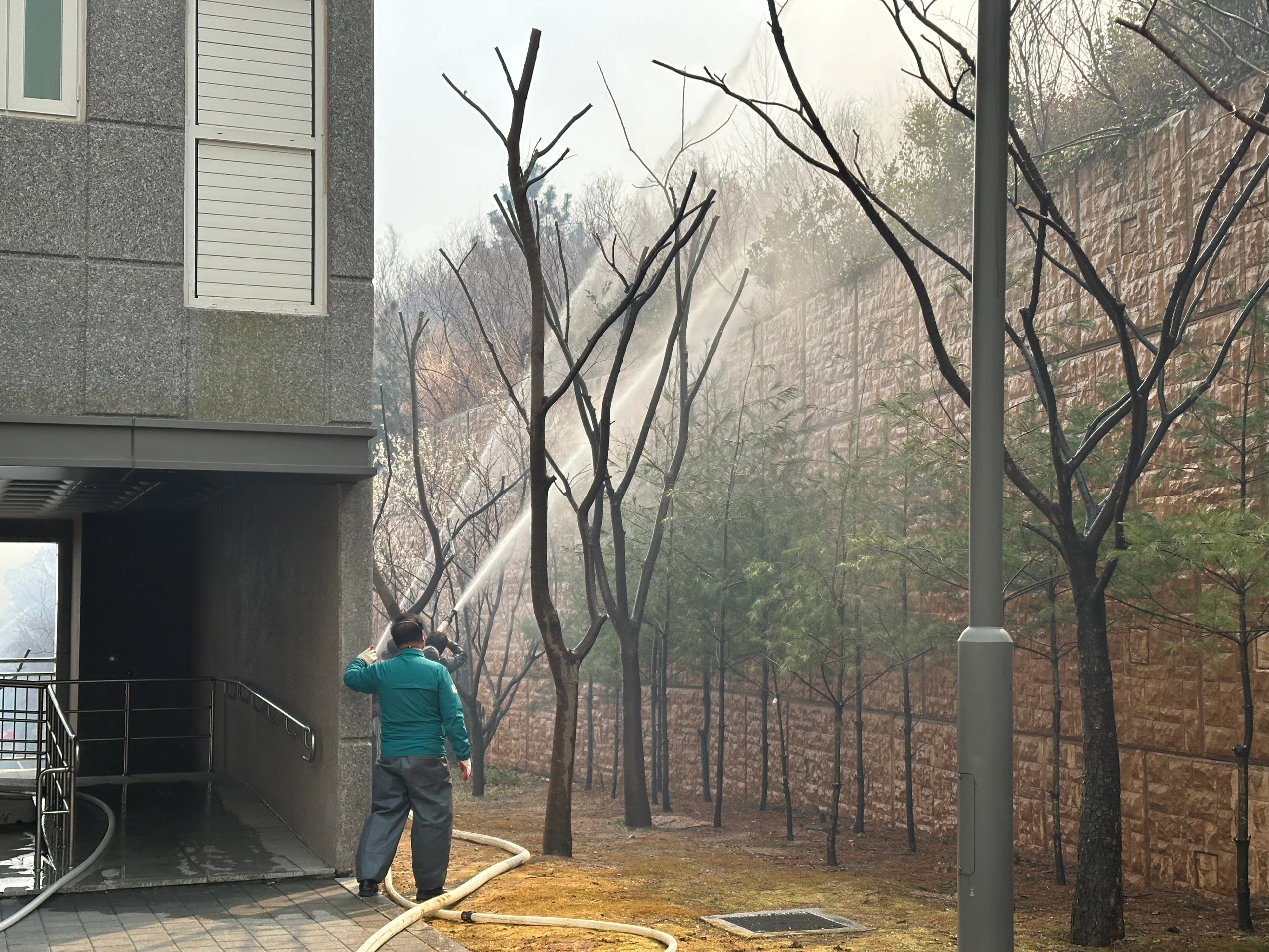 산불