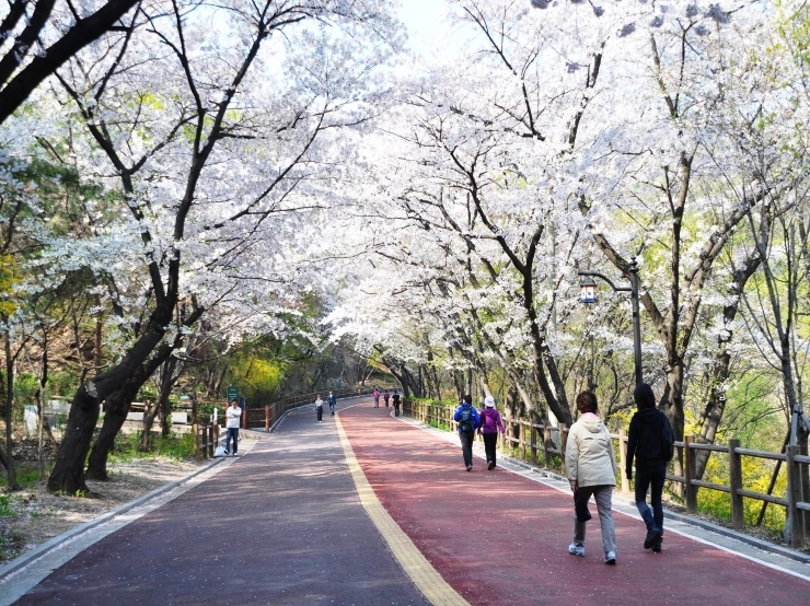 남산공원