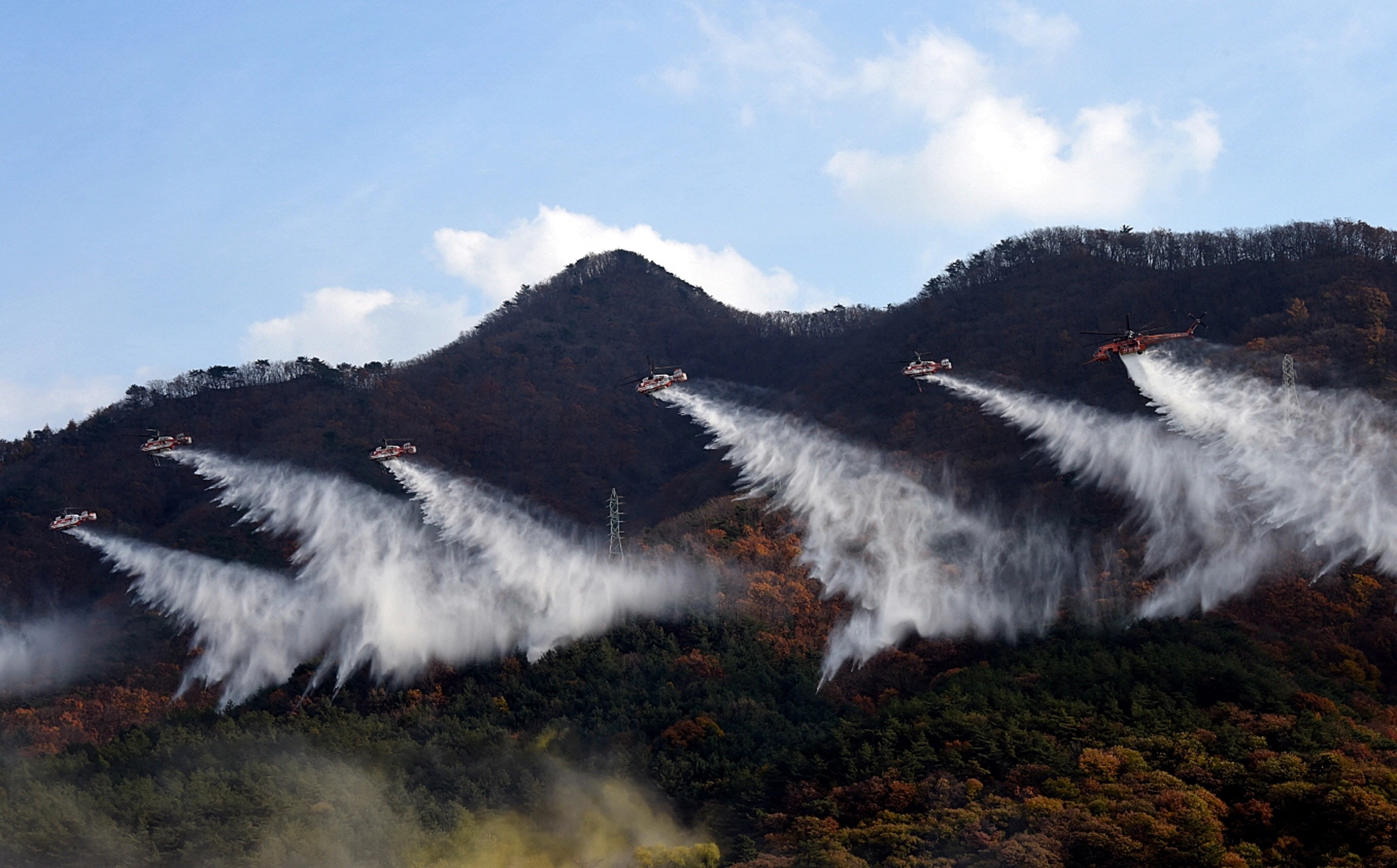 산림청