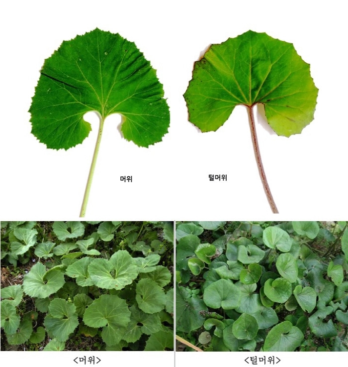 / 산림청 국립수목원