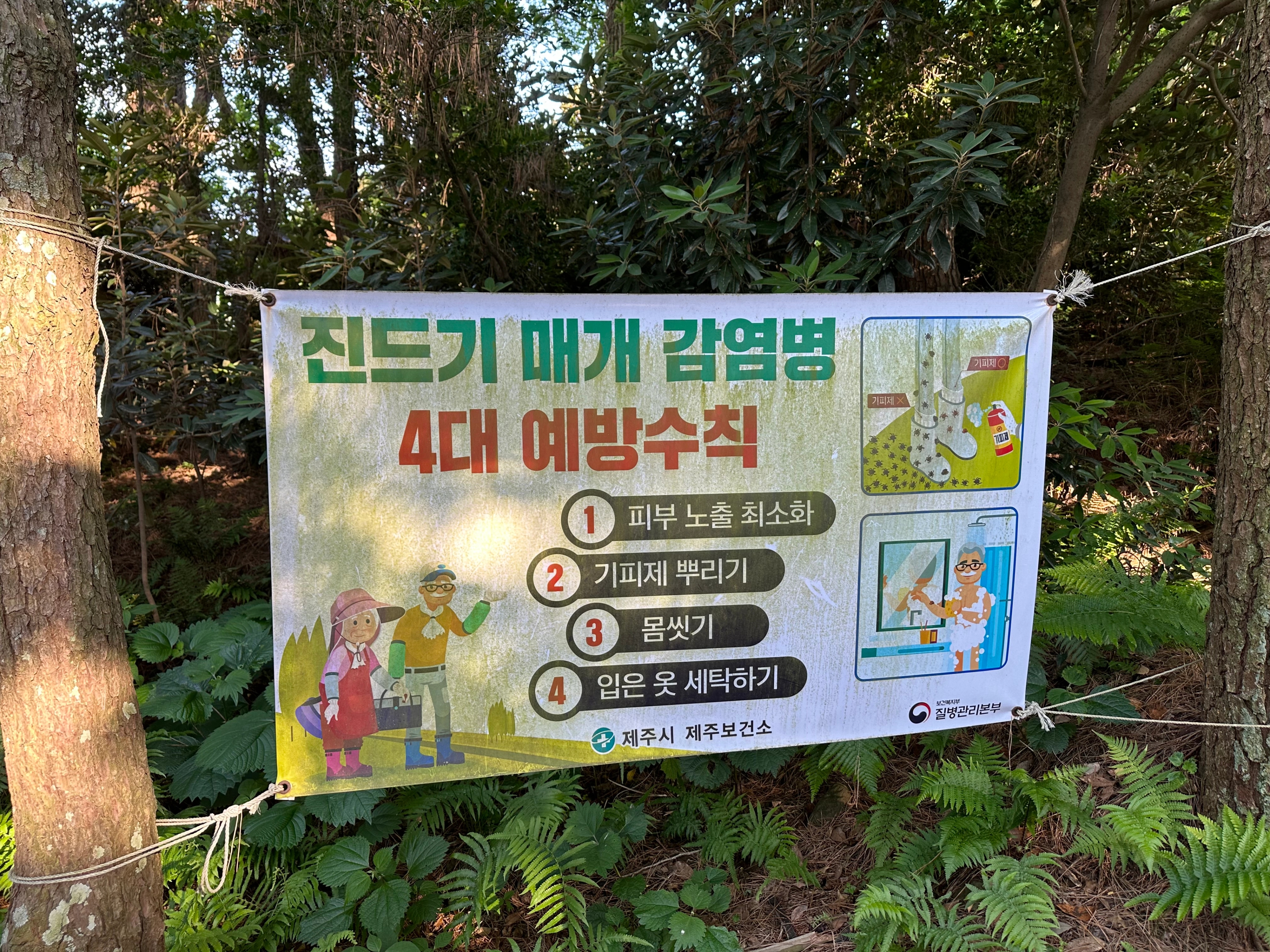 진드기