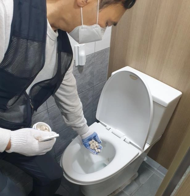 모기