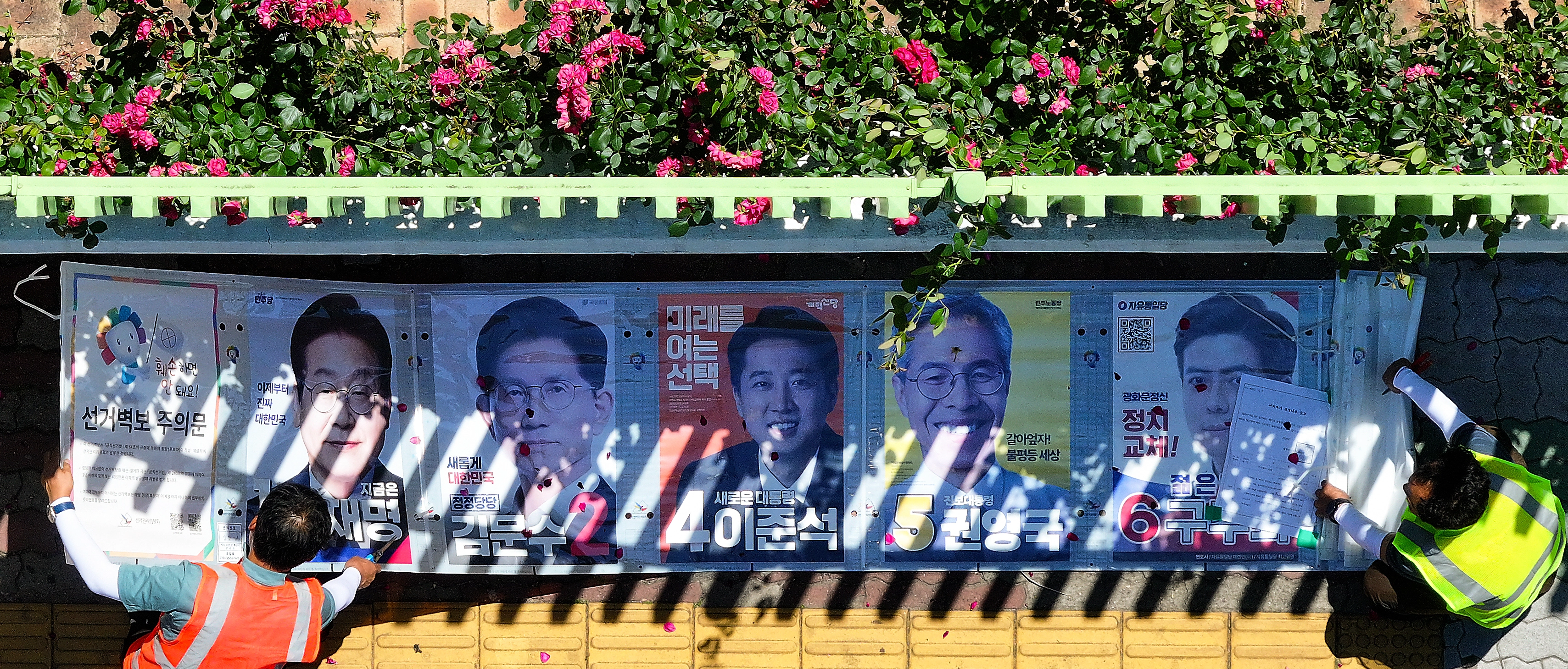 대선
