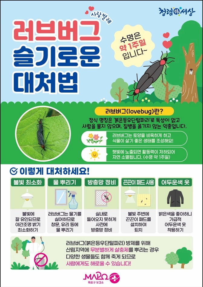 러브버그