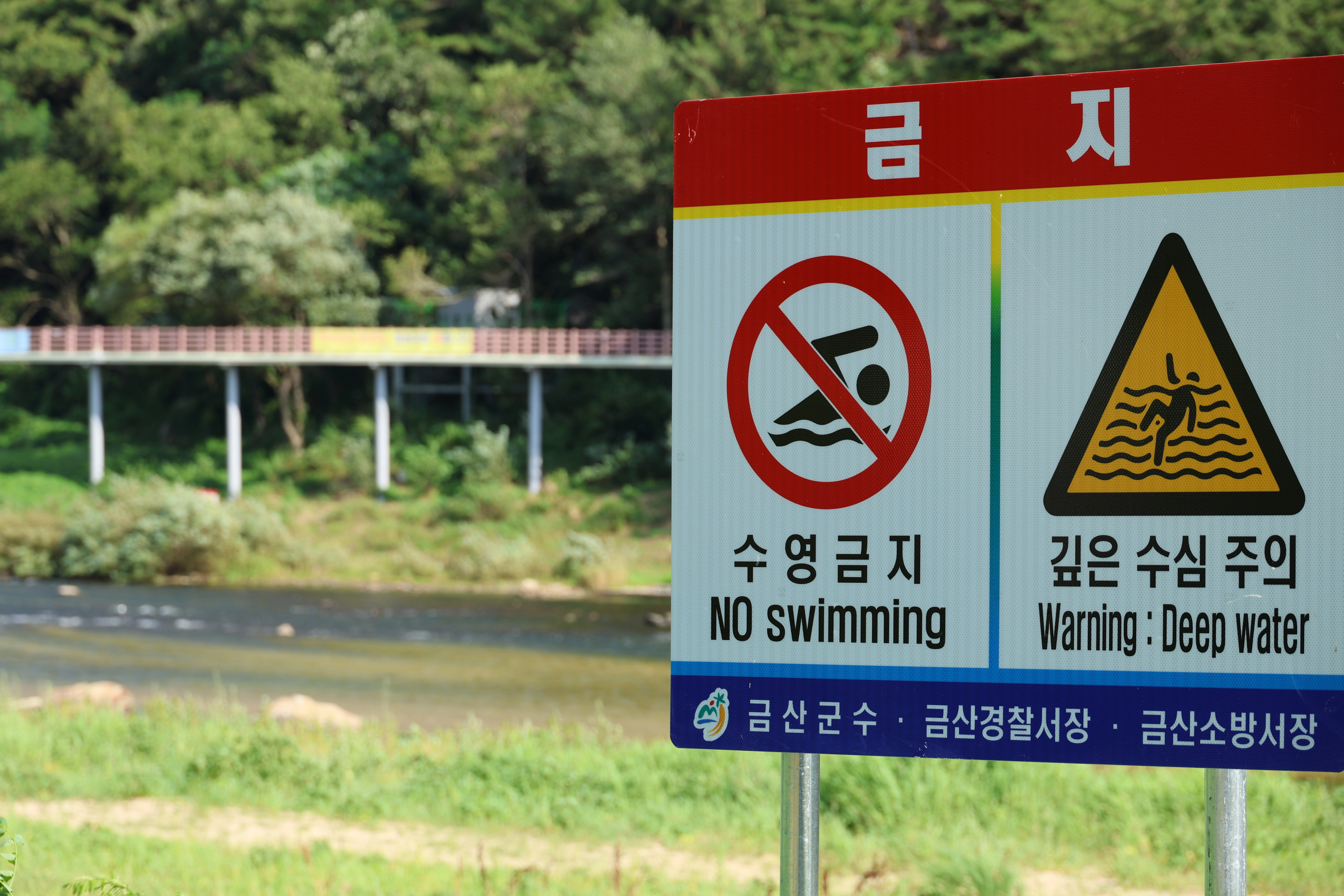 금산