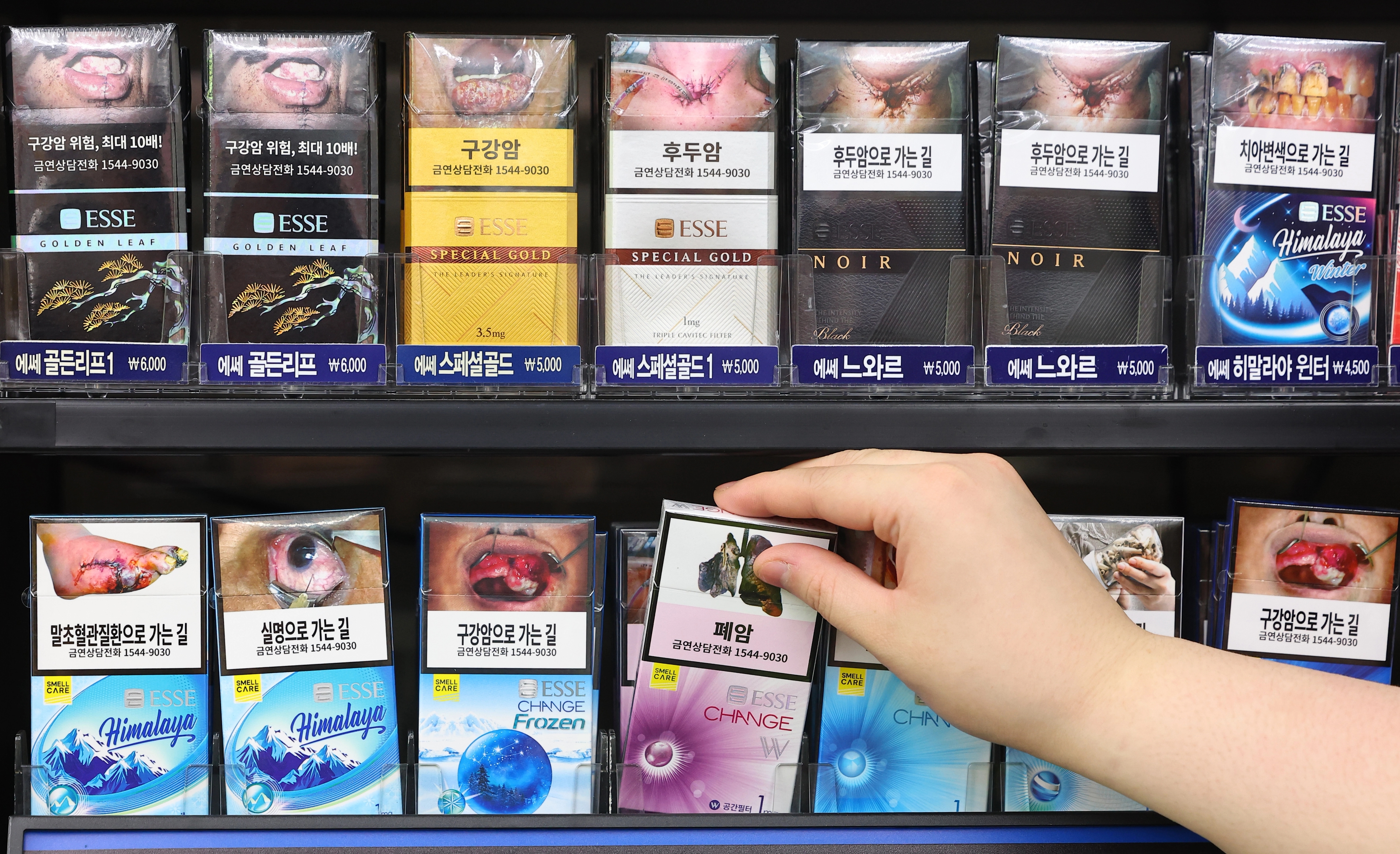 담배