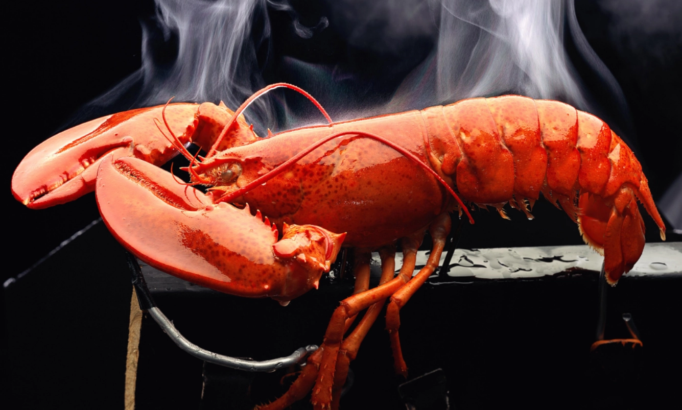 영국이 동물복지를 위해 살아있는 바닷가재를 그대로 끓는 물에 삶는 것을 금지하기로 했다.
