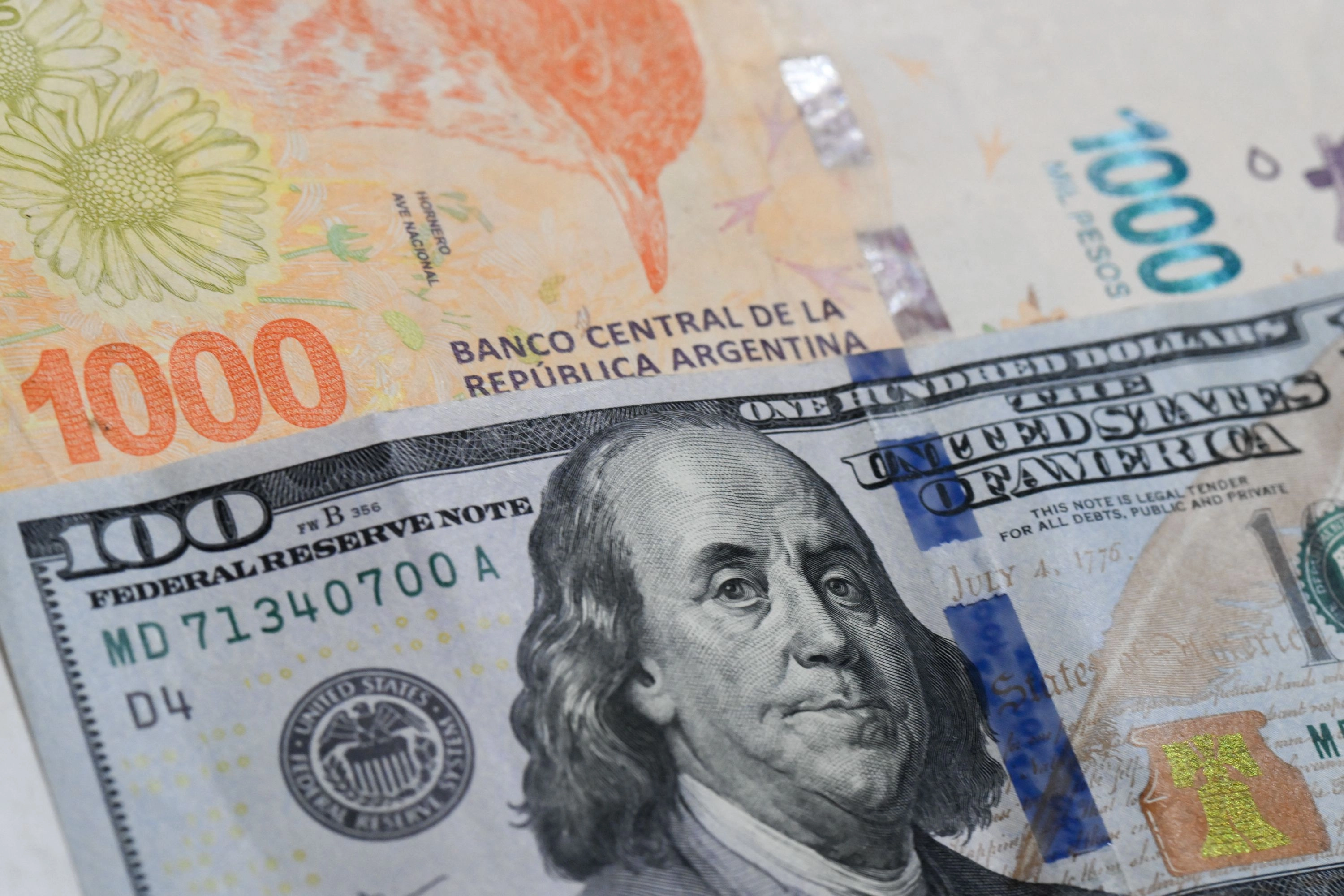 아르헨티나 1천 페소와 100달러