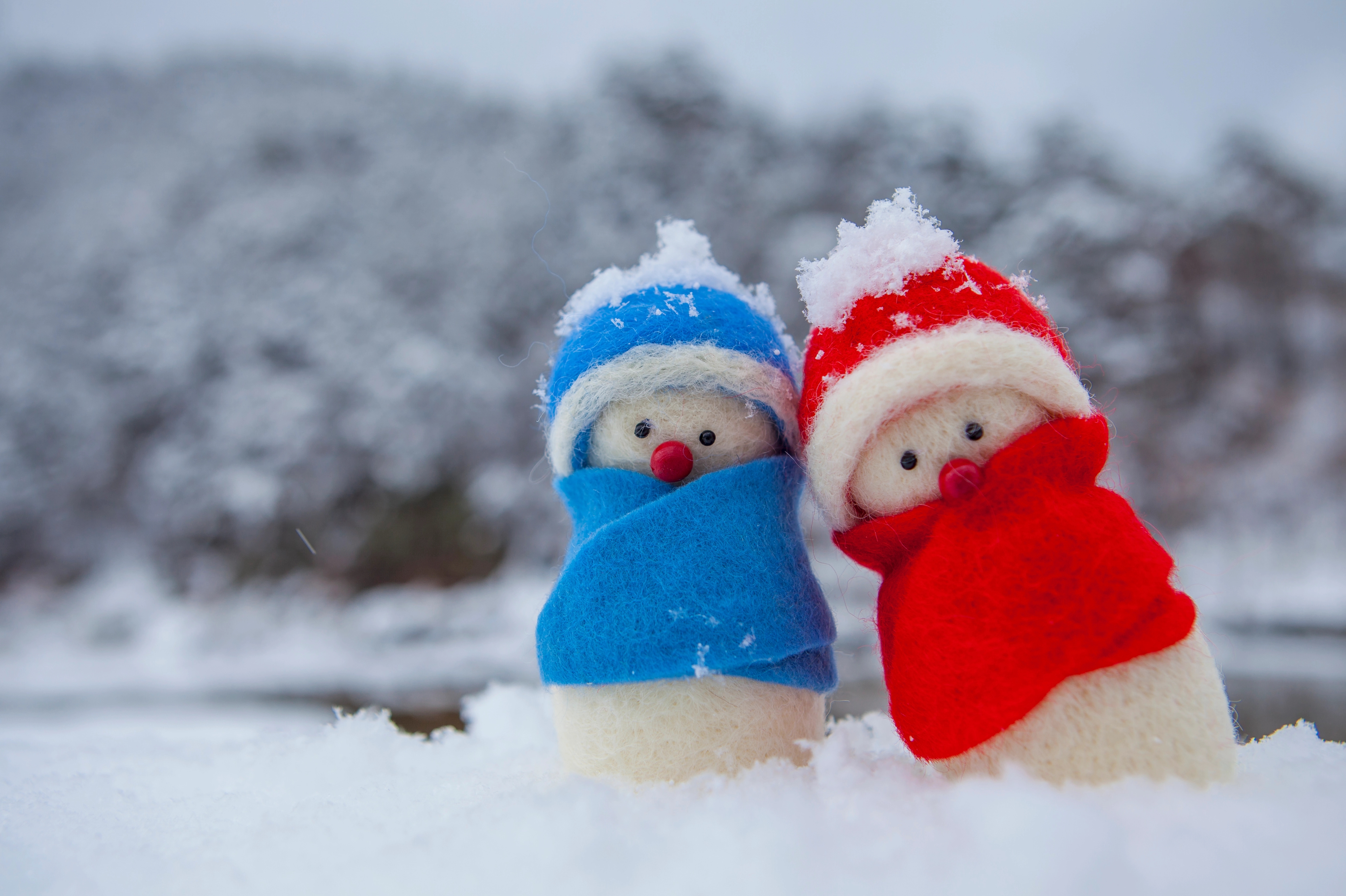 기상청이 발표한 ‘3개월 전망’에 따르면 올해 12월부터 내년 2월까지 전반적으로 큰 추위는 나타나지 않을 것으로 보인다.